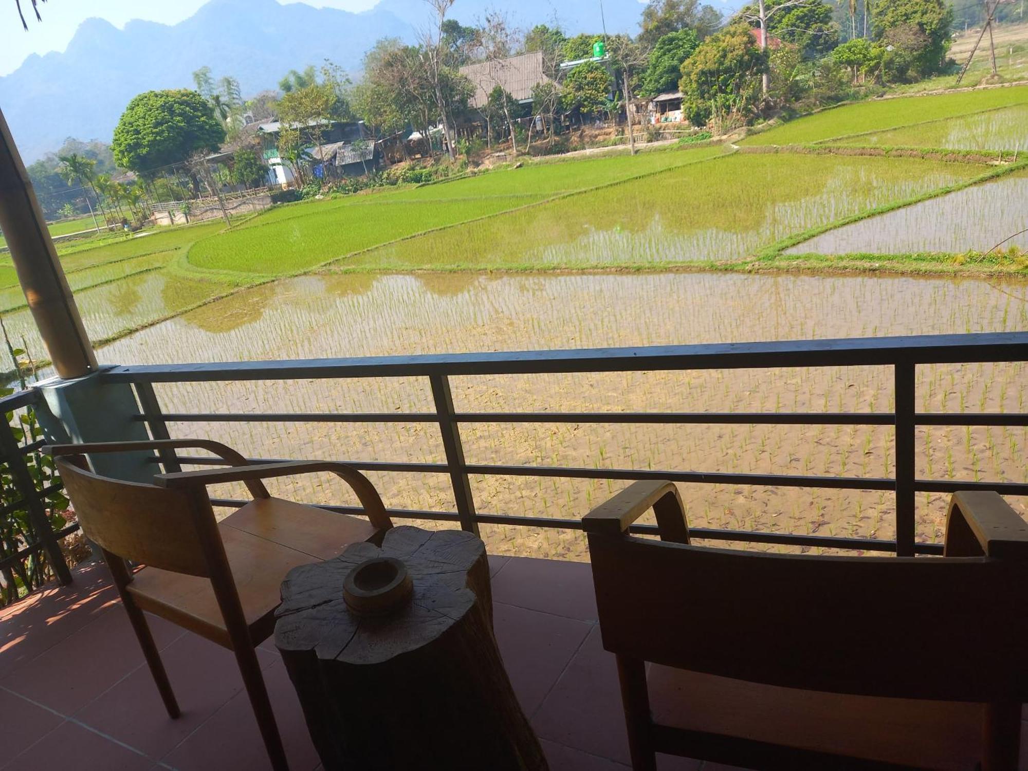 House Homestay